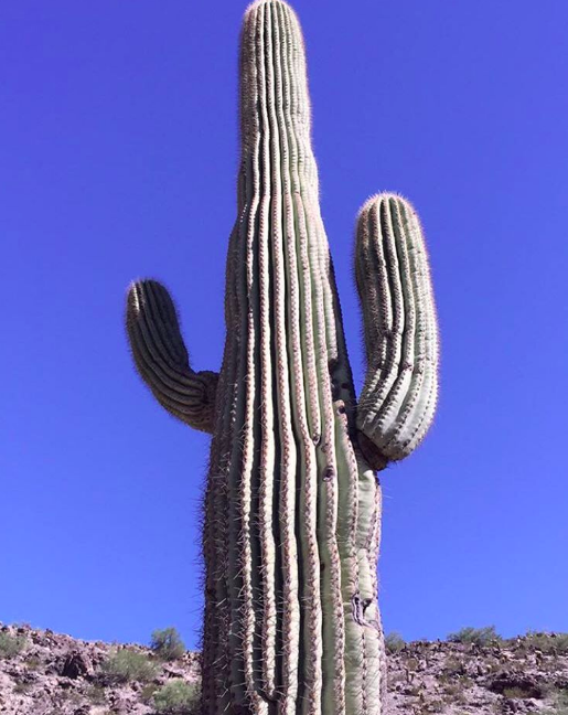 Necesitas ver la naturaleza por lo que es.