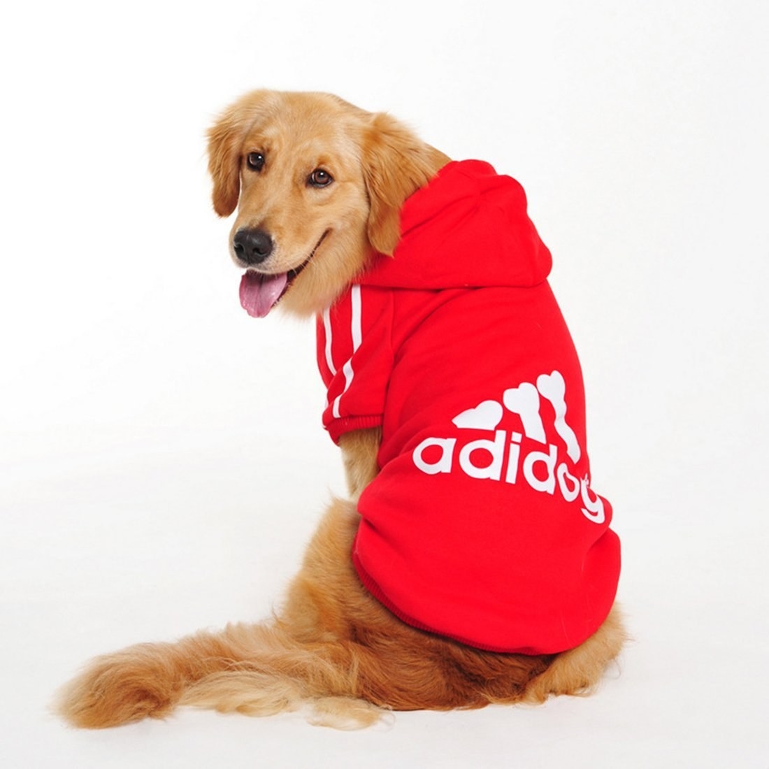 28 Of The Best Pieces Of Clothing For Dogs On Amazon