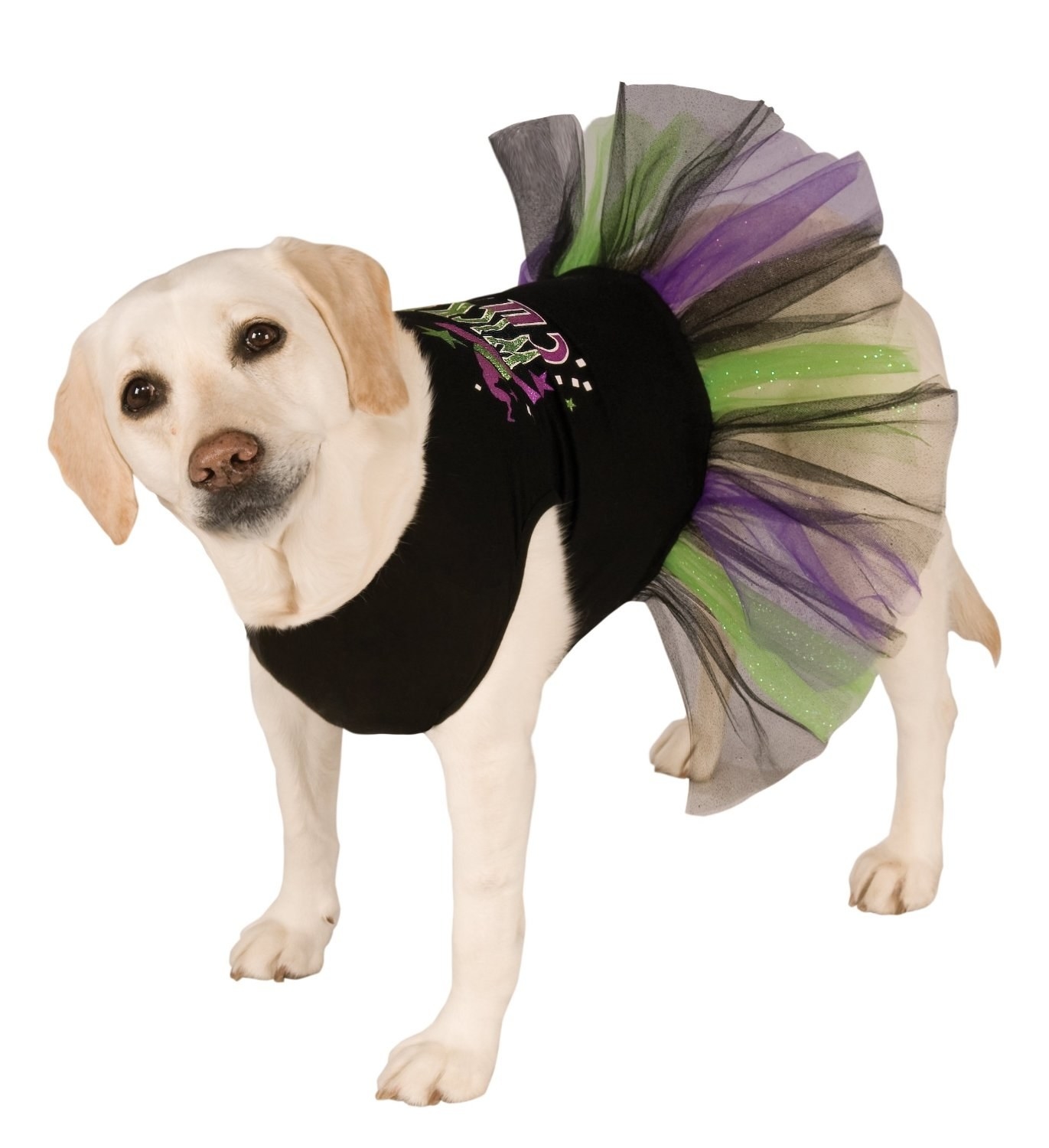 Dresses for 2024 labrador dog