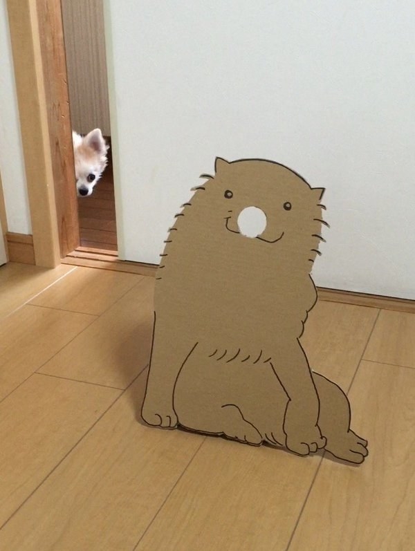 In her spare time, Semba likes to make special cardboard cutout costumes and masks for Chihuahua-mametaro...
