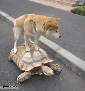 コツコツ想いを伝えるタイプ
