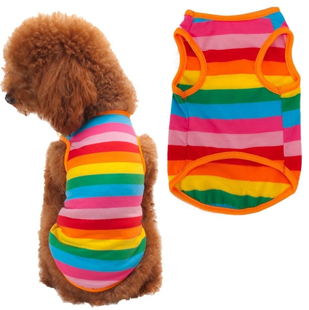 28 Of The Best Pieces Of Clothing For Dogs On Amazon