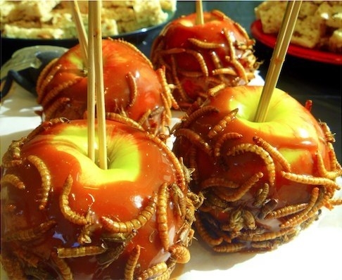Recipe here (Search Scare-amel).