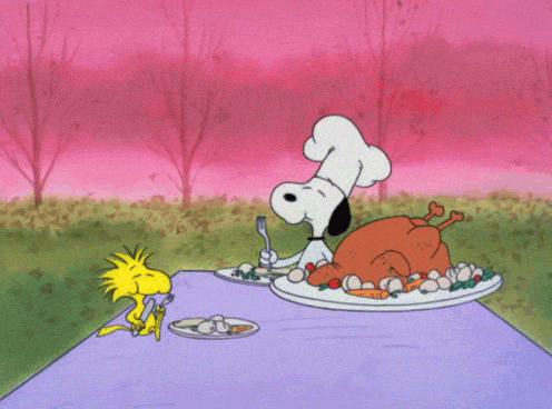 First off, who doesn't love Thanksgiving? You can stuff the crap out of your face and no one will judge you. I usually have three helping of food during Thanksgiving. Also, every type of Thanksgiving dish is so good, that I can't decide which is my favorite. Besides the food, you get to spend time with family, which is always fun. But when I moved, I've always spent Thanksgiving at my boyfriend's house, which is also really fun as well. I can eat like a pig in front of him and his family, and feel perfectly comfortable about it.