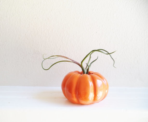 This gourd-geous pumpkin planter