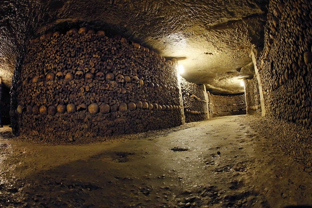 The Catacombs of Paris