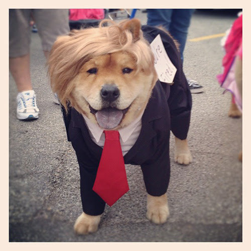 Make America Great Again