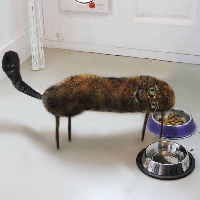 ヘンテコな動物の絵が現実に 子どもの絵をパパが表現