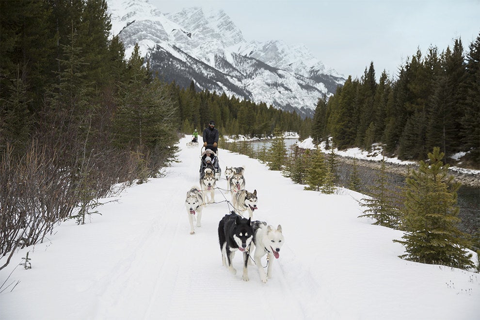 Dogsledding in the Canadian Rockies is the perfect way to relax and take in the scenic landscape.