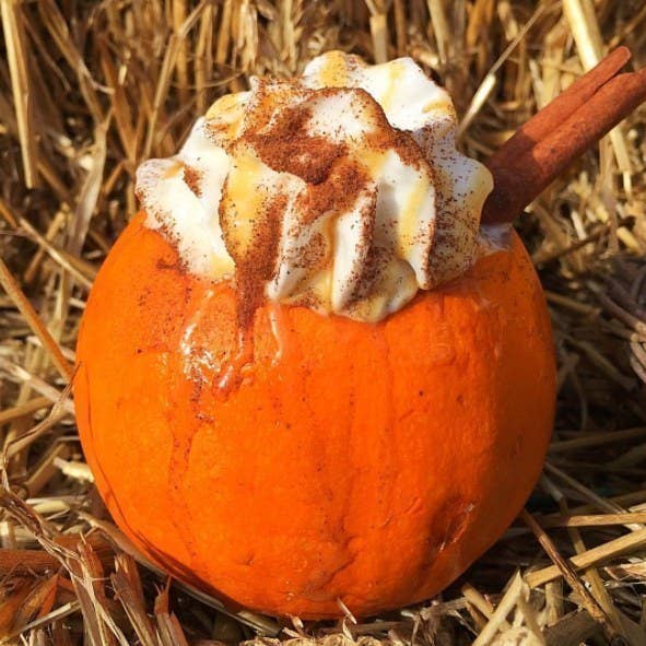 Les Differences Entre Les Etats Unis Et La France Pour Halloween