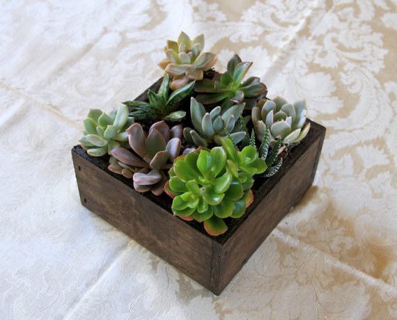Or maybe it's a plant box for less than $20 that'll make any space feel serene and adult-like.