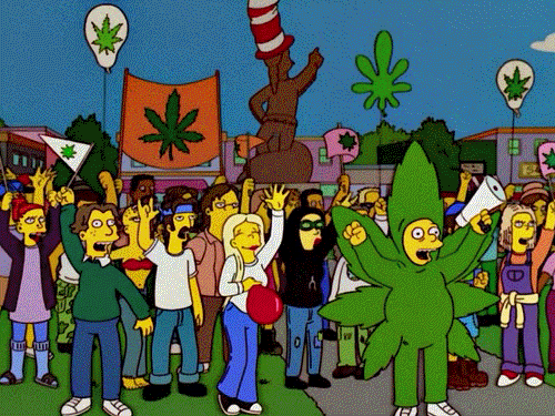 There are also measures on medical marijuana in Arkansas, Florida, Montana and North Dakota.