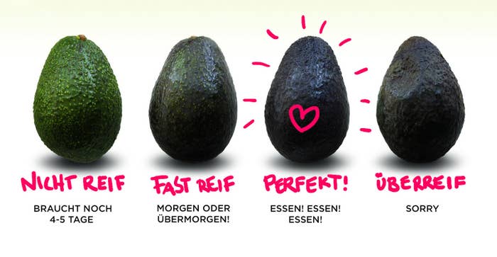 15 Hacks Die Du Lieben Wirst Wenn Du Avocados Liebst