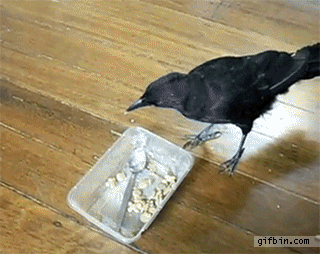 Meanwhile, you can't even be bothered to get up to pass your roommate the remote.