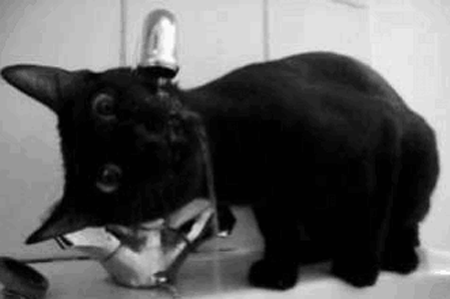 We've all done this, and we've all forgotten to turn it off...