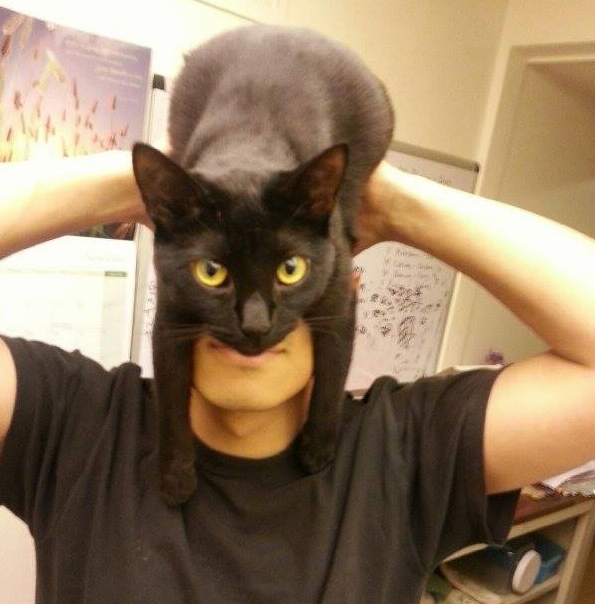Llévate al gato a la fiesta y sé Batman.
