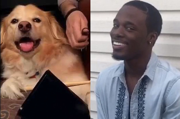 Here Are Some Of The Best Vines To Watch Before Twitter 