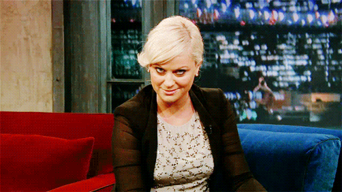 Amy Poehler