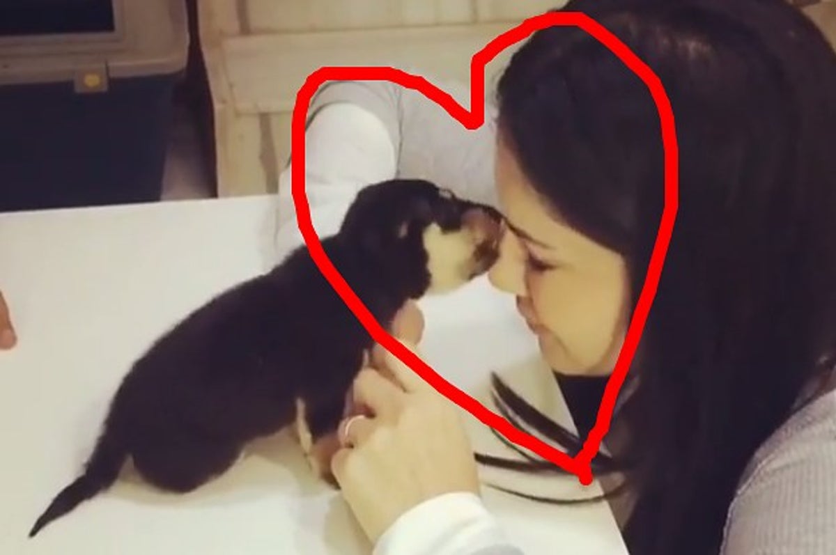 Sanny Loyan Sex - Because You Deserve Joy: Here's Sunny Leone Playing With The Smolest Pup  I've Ever Seen