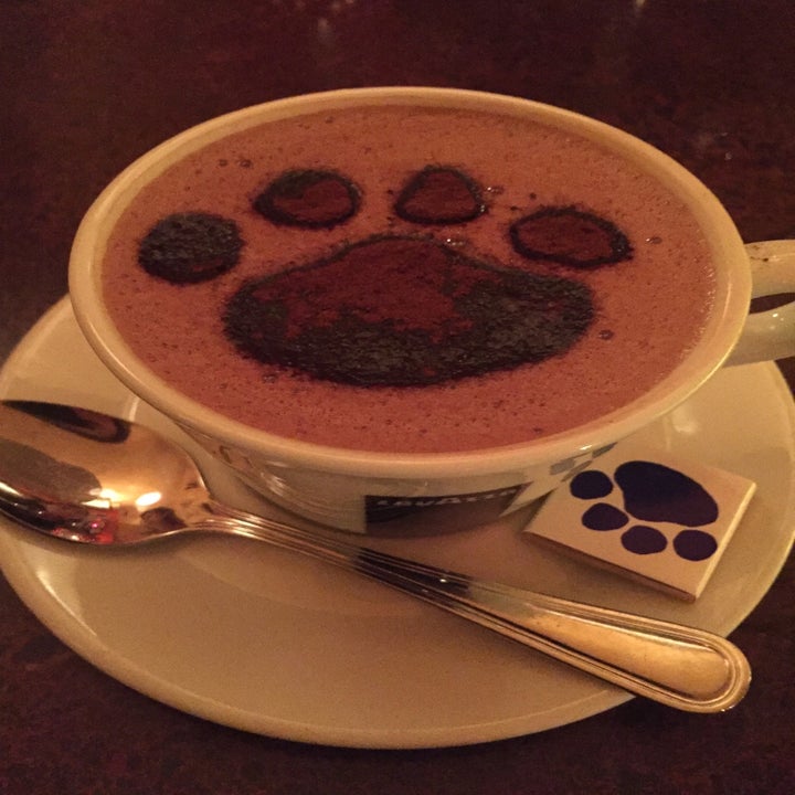 These Are The Best Hot Chocolates In Nyc