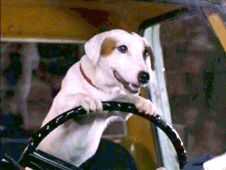 Cars are speeding death machines that we try to control with our dumb animal brains. What are we even doing?