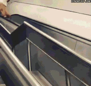 Escalators — like stairs, but alive. They should be trusted even less.