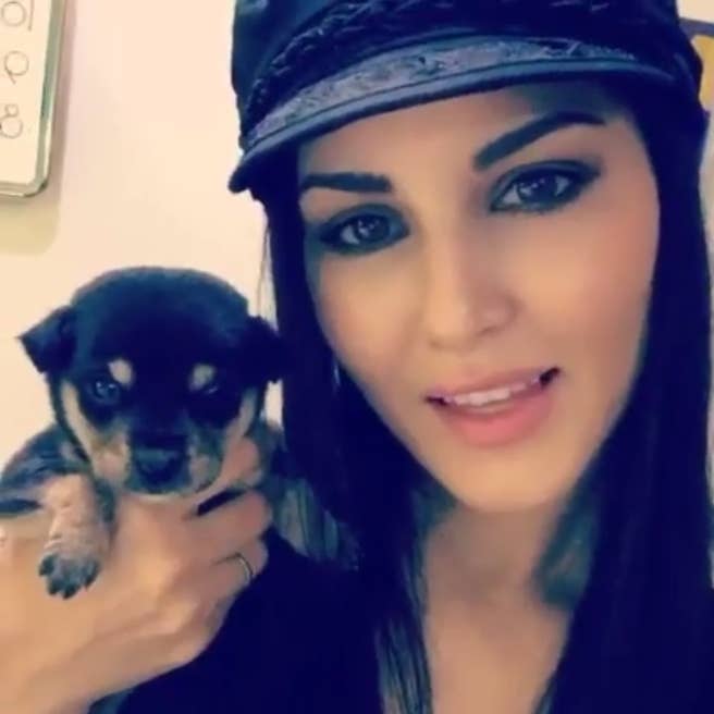 Sunny Leobe Homemade Sex Hd - Because You Deserve Joy: Here's Sunny Leone Playing With The Smolest Pup  I've Ever Seen