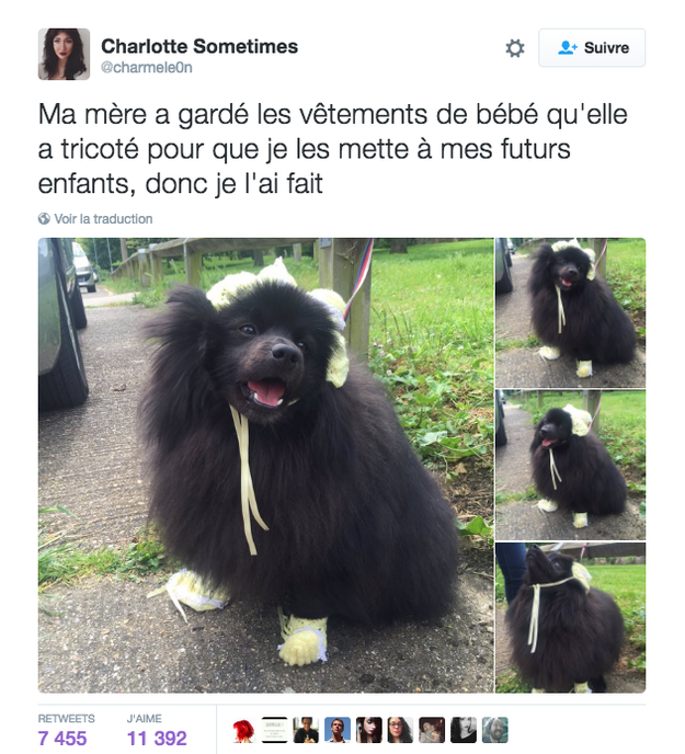 L'amour des humains pour leur chien est magique.