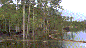 Sinkholes are everywhere. No one is safe.