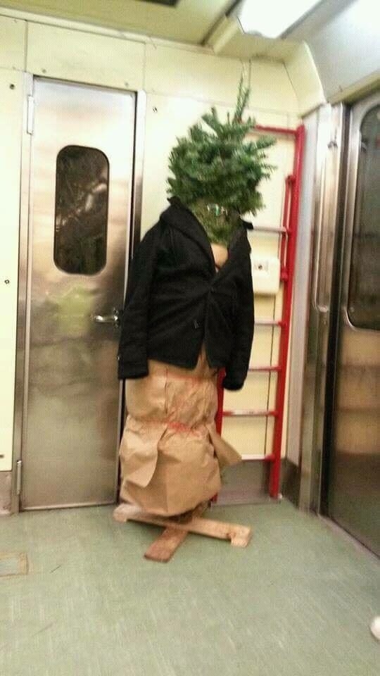 El mismo día, un hombre en el Metro se convirtió en árbol.