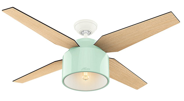 A "whisper-quiet" ceiling fan in a lovely shade of mint (with oak blades).