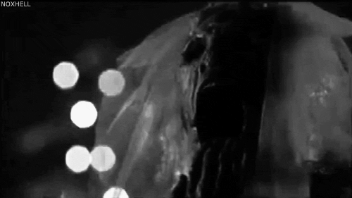 The Serpent and the Rainbow (1988)