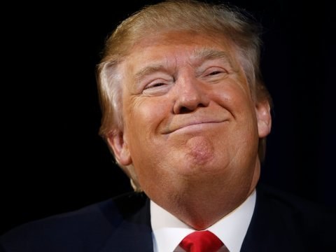 Trump Expert