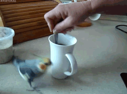 Lo que significa para el mundo: Un estado emocional de satisfacción y dicha. Si trabajas en una oficina: La cafetera nueva. 😎