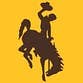 University of Wyoming profile picture