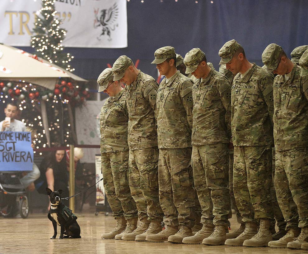 Here S 19 Heartwarming Photos Of Us Troops Returning Home Here S 19 Heartwarming Photos Of Us Troops Returning Home