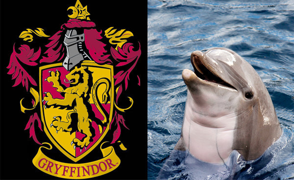 You're a Gryffindor with a dolphin patronus!
