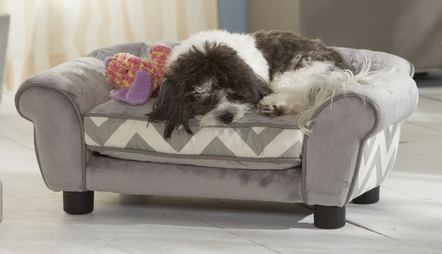 Dis mini sofa for your dog.