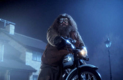 Hagrid was there for Harry from the beginning...