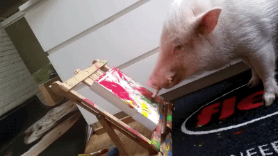 "Trust me, I am an artistse"