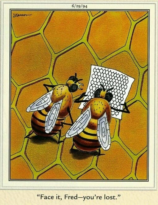 sub-buzz-26597-1479094887-1.jpg