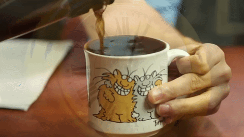 きみは徹底したコーヒー愛好家で、コーヒーのエキスパートだ。