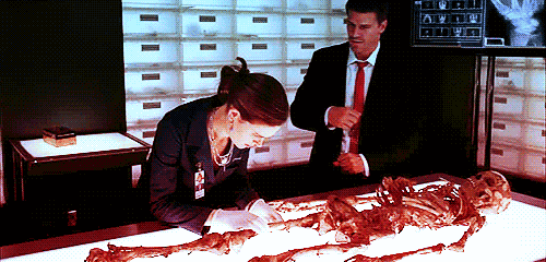 You’re an accountant, but you want to be a forensics analyst