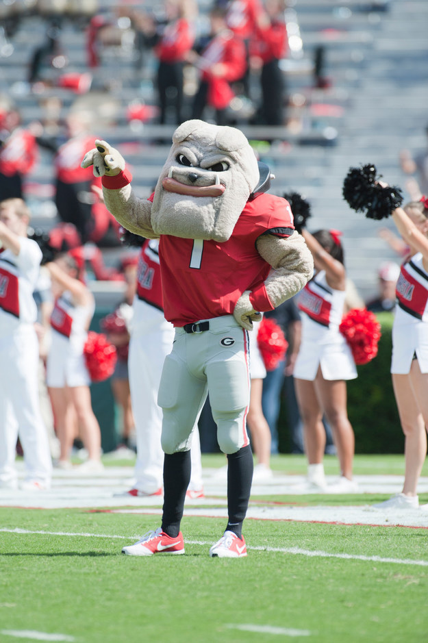 Which College Mascot Is Your Soulmate?