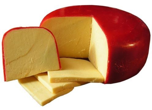 Gouda