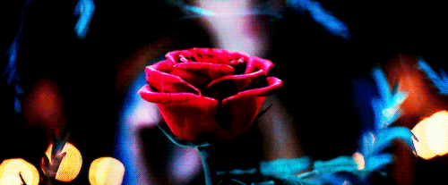 Six months ago we got our first glimpse of Emma Watson as Belle in the live-action version of Beauty and the Beast.