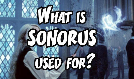If You Get 13 15 On This Harry Potter Spells Quiz You Must Be A