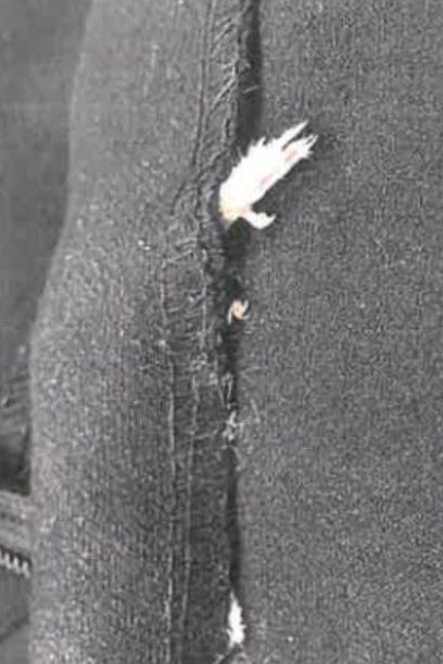A 24-Year-Old Says She Found A Dead Rat Inside Her New Dress From Zara