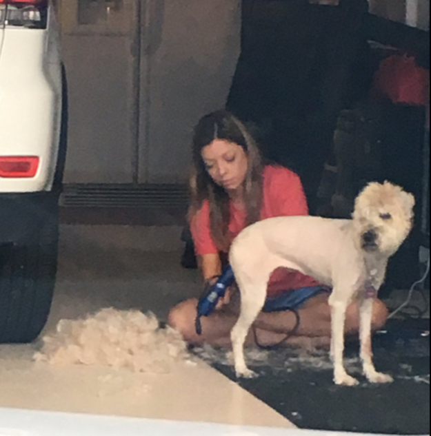 Mackenzie Neel, the daughter of the family, told BuzzFeed News that she pulled up from school only to see this — her mom removing all of Abbie's fur.