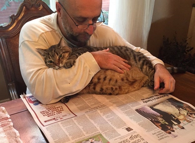 They're perfectly content to spend a lazy morning cuddling while you read the paper.